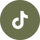 Tiktok icon