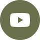 Youtube Icon