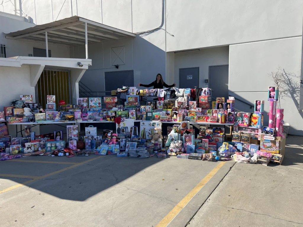 toy drives